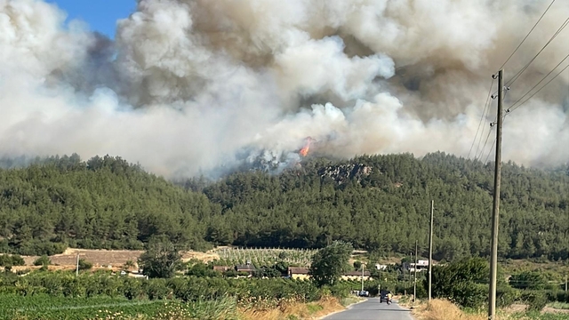 Sakarya'da ormanlık alanda çıkan yangına müdahale ediliyor