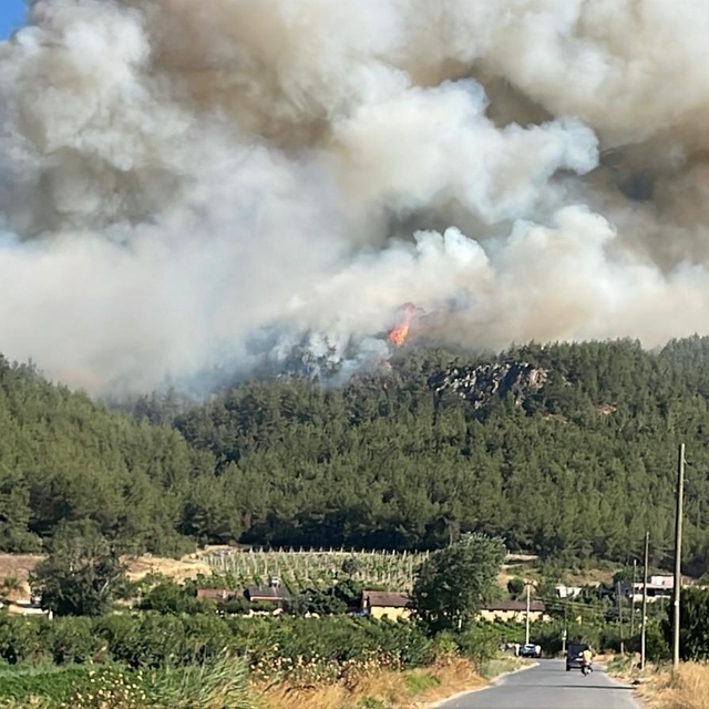 Sakarya'da ormanlık alanda çıkan yangına müdahale ediliyor