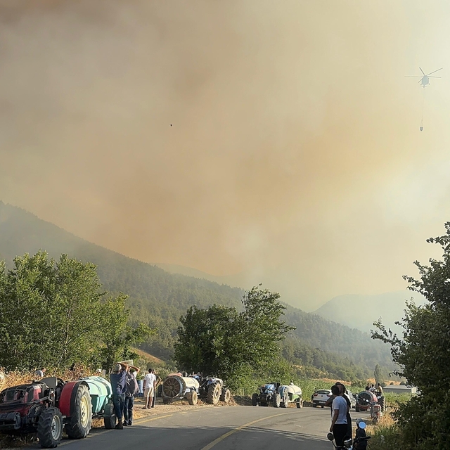 Sakarya'da orman yangını; alevler rüzgarın etkisiyle yayılıyor