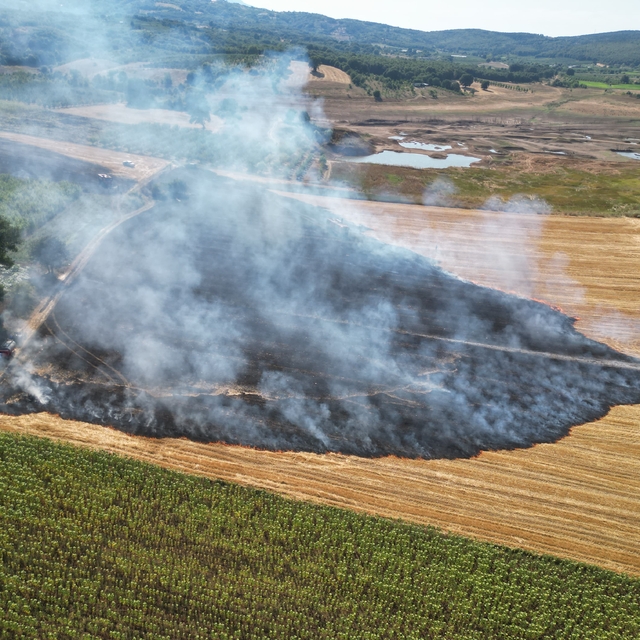 Bursa'da çıkan anız yangını söndürüldü
