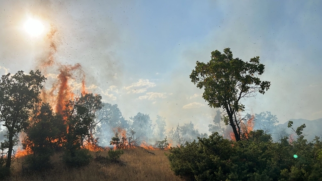 Bingöl'de çıkan orman yangınları söndürüldü