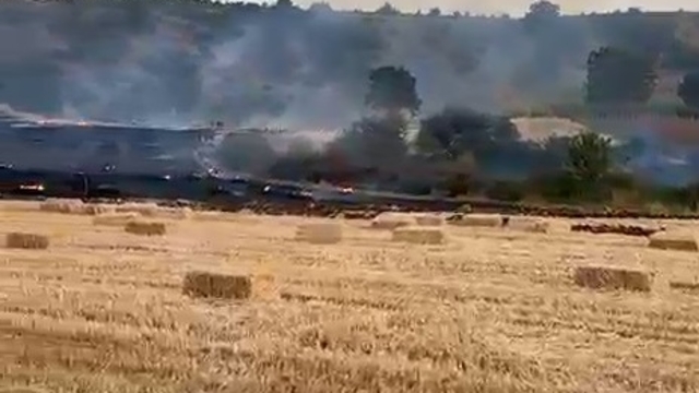 Bursa'da tarla yangını ormana sıçramadan söndürüldü
