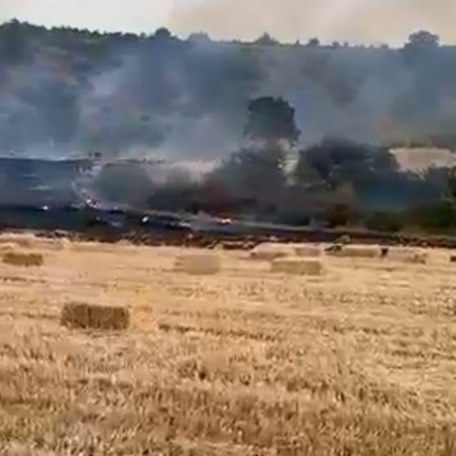 Bursa'da tarla yangını ormana sıçramadan söndürüldü