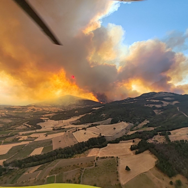 Sakarya'da orman yangını; alevler rüzgarın etkisiyle yayılıyor (5)