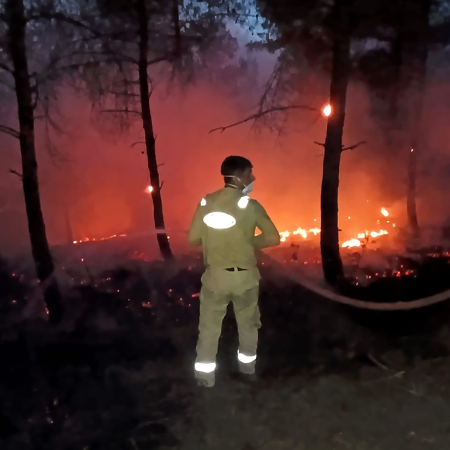 Sakarya'da orman yangını; alevler rüzgarın etkisiyle yayılıyor (6)