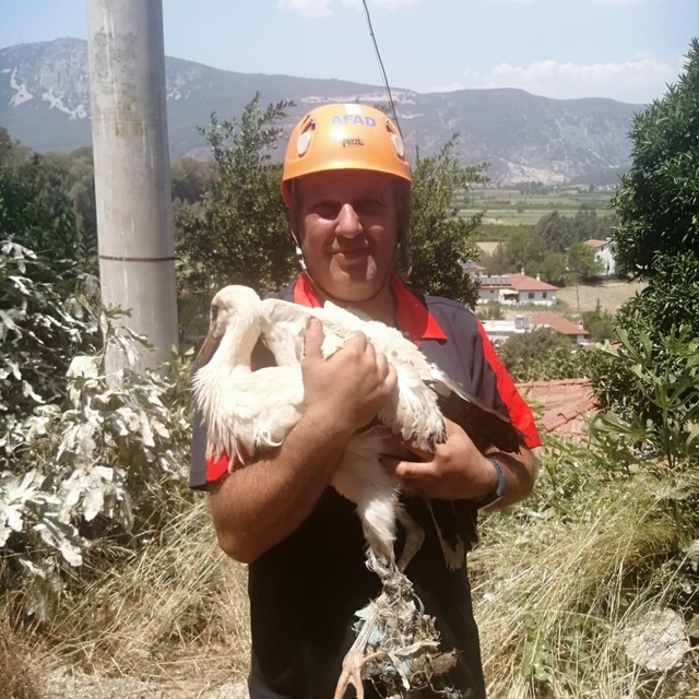 Muğla'da ayağı kırılan leylek tedaviye alındı
