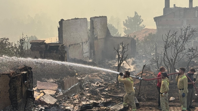 Sakarya'da çıkan orman yangınına müdahale sürüyor