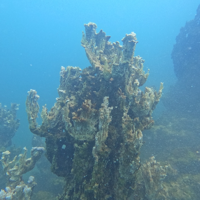 Van Gölü'nde 70 metrelik yeni mikrobiyalit bulundu