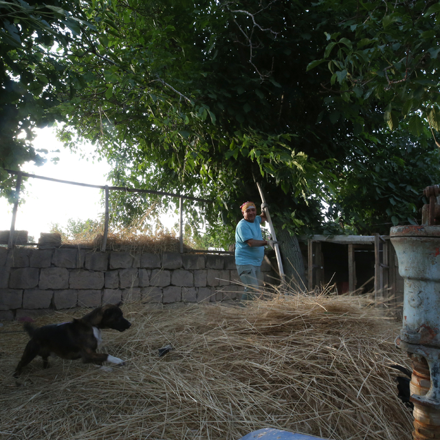 Özlem duyduğu köy hayatını kent merkezindeki binaların arasında yaşıyor