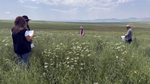 Ardahan'da ziraat mühendisleri sahada tarımsal ürün tespiti yaptı