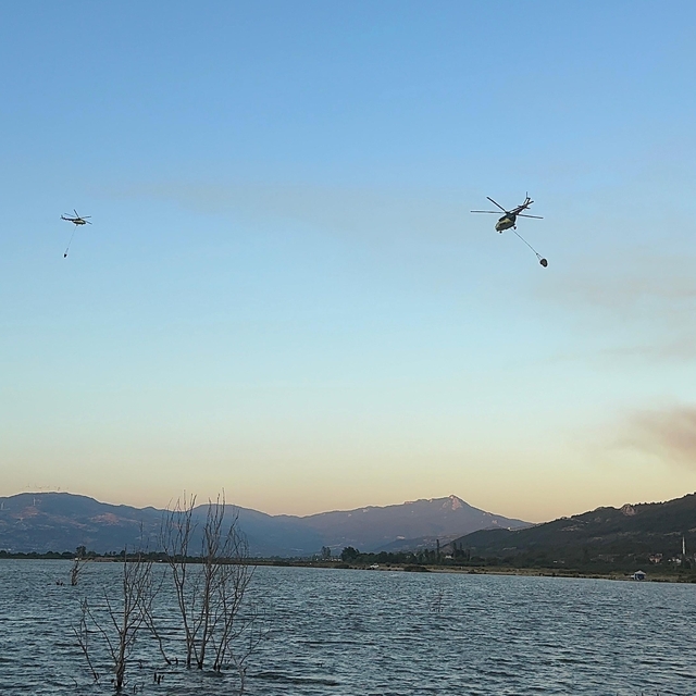 Sakarya'daki orman yangını 2'nci gününde (4)