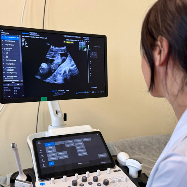 Diyarbakır Gazi Yaşargil Eğitim ve Araştırma Hastanesi'nde "perinatoloji" u...