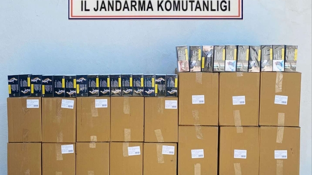 Tekirdağ'da 299 bin makaron ele geçirildi