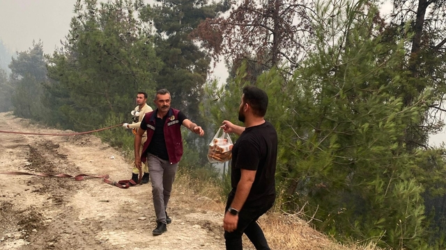 Sakarya'daki orman yangını 2'nci gününde (5)