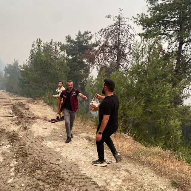 Sakarya'daki orman yangını 2'nci gününde (5)