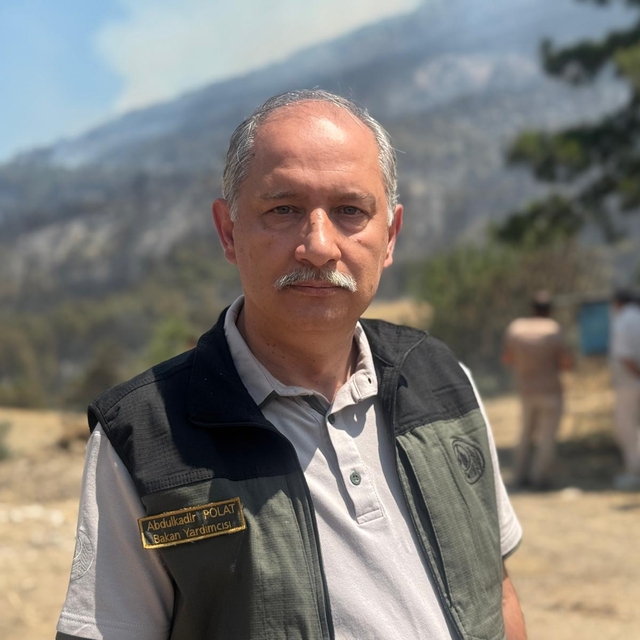 Tarım ve Orman Bakan Yardımcısı Polat, Sakarya'daki orman yangınına ilişkin...