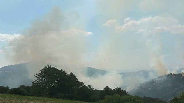 Uşak'ta çıkan orman yangını 19 saatte kontrol altına alındı