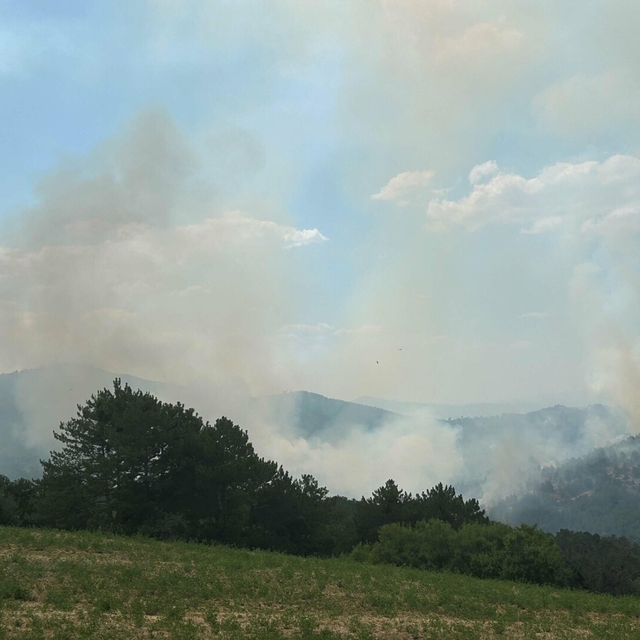 Uşak'ta çıkan orman yangını 19 saatte kontrol altına alındı