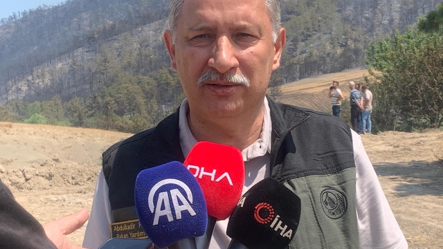 Sakarya'daki orman yangını 2'nci gününde (6)