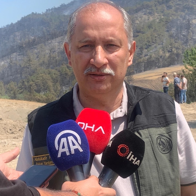 Sakarya'daki orman yangını 2'nci gününde (6)