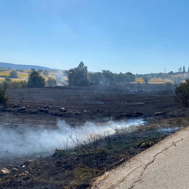 Bozüyük'te anız yangını söndürüldü