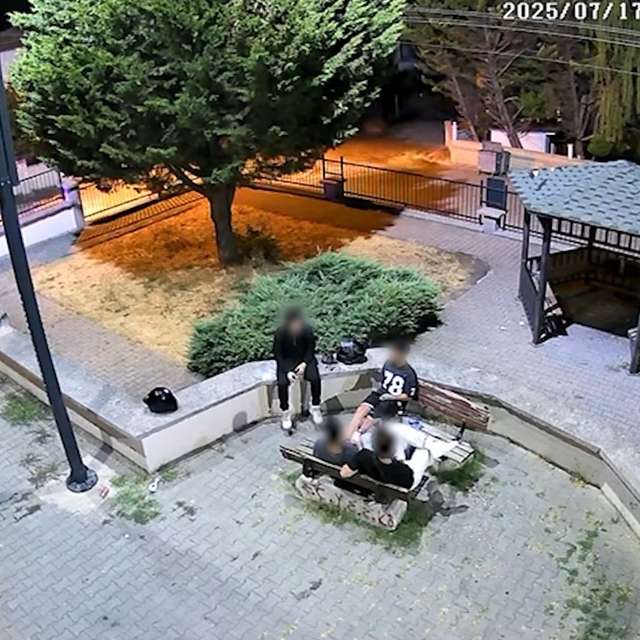 Yalova'da zabıta ekipleri parkta çekirdek kabuklarını yere atanlara temizli...