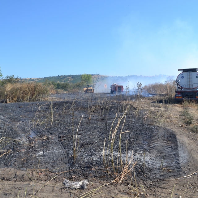 Bursa'da çalılık alanda çıkan yangın söndürüldü