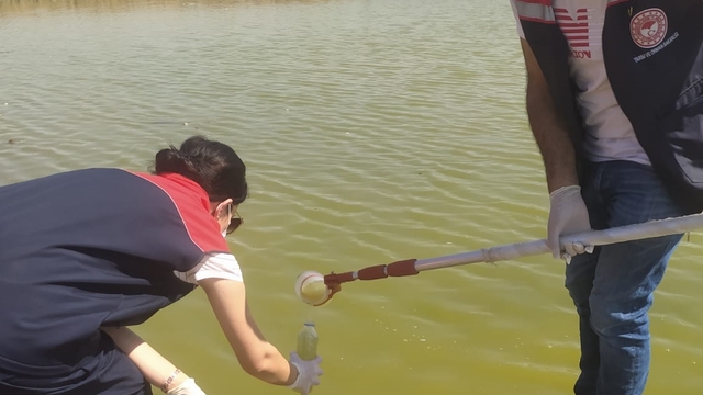 Şırnak'ta iki göletteki balık ölümleri nedeniyle inceleme başlatıldı