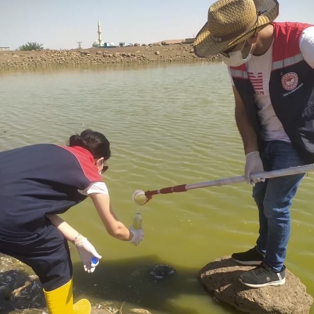 Şırnak'ta iki göletteki balık ölümleri nedeniyle inceleme başlatıldı