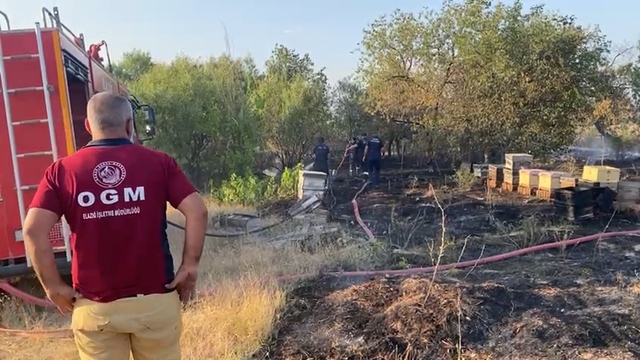 Elazığ'da anız yangını; arı kovanları ve ağaçlar zarar gördü
