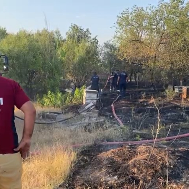 Elazığ'da anız yangını; arı kovanları ve ağaçlar zarar gördü