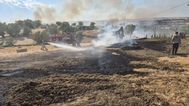 Tekirdağ'da anızda başlayıp ağaçlığa sıçrayan yangın 60 dekar alana zarar verdi