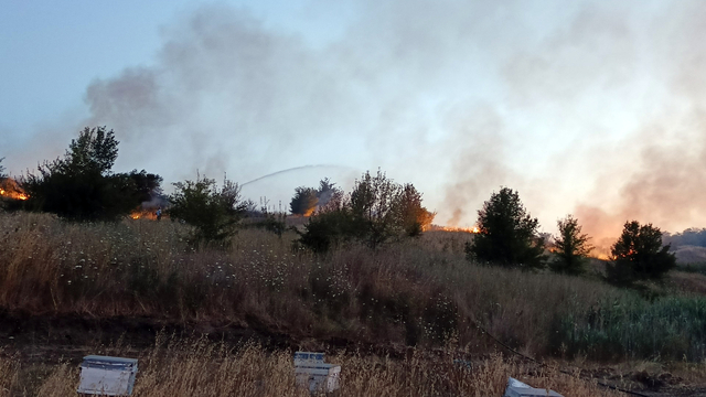 Tekirdağ'da ot yangını