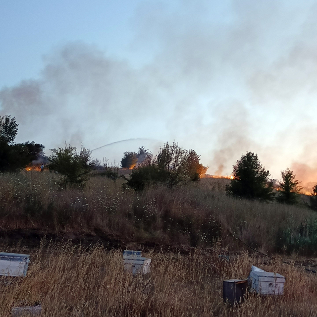 Tekirdağ'da ot yangını