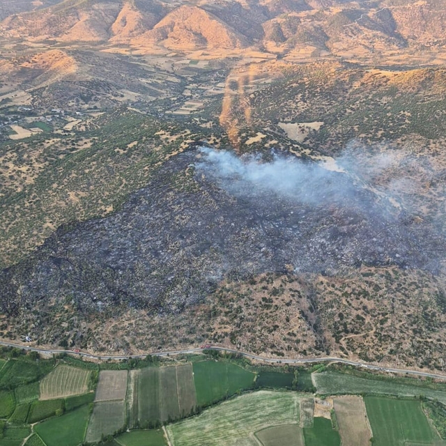Aydın'da makilik alanda çıkan yangın söndürüldü