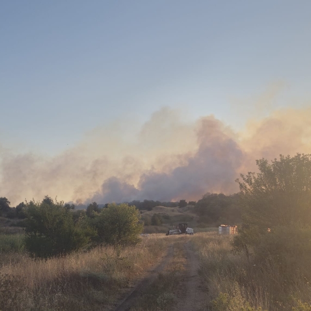Tekirdağ'da çıkan yangında 20 dekar ağaçlık alan zarar gördü