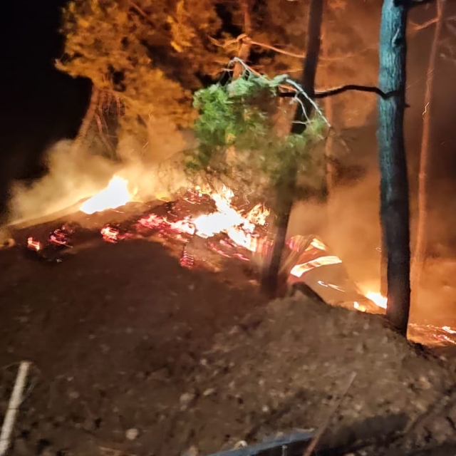 Bilecik'te çiftlikte başlayıp ormanlık alana sıçrayan yangına müdahale edil...