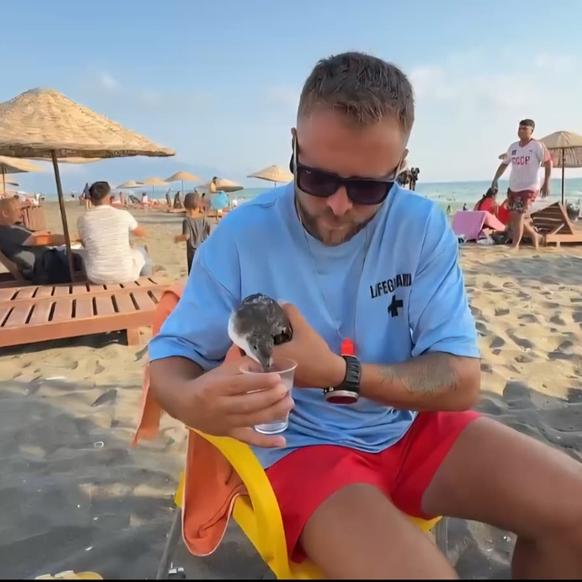 Cankurtaran, nesli tehlike altındaki yelkovan kuşunu kurtardı