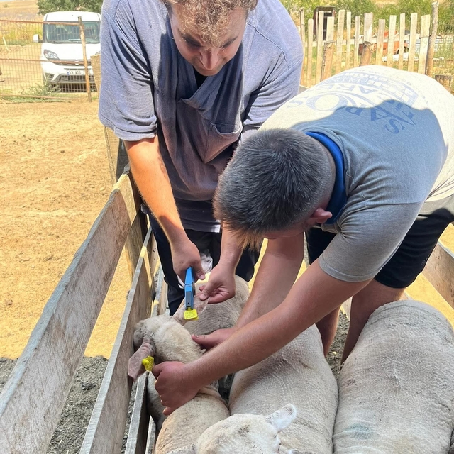 Edirne'den kısa kısa