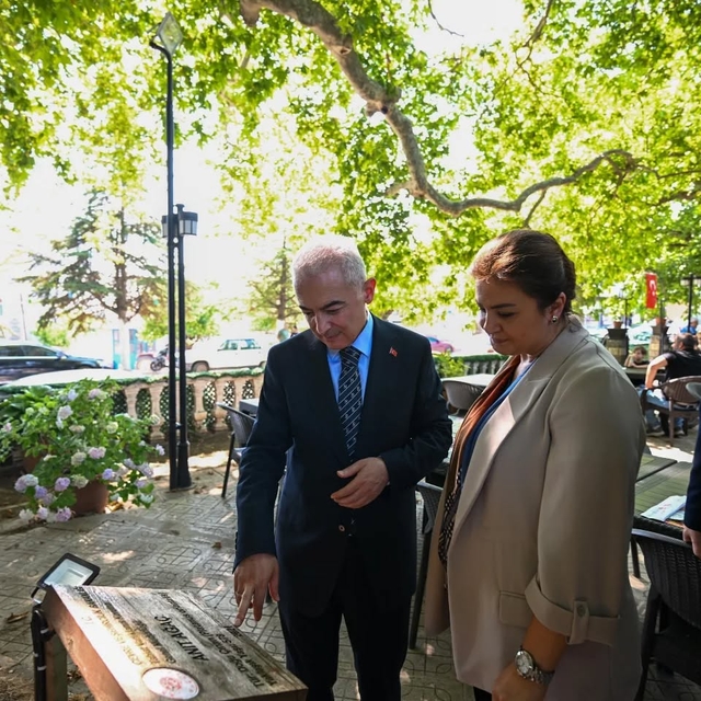 Kırklareli Valisi Turan, 582 yıllık anıt çınar ağacını inceledi