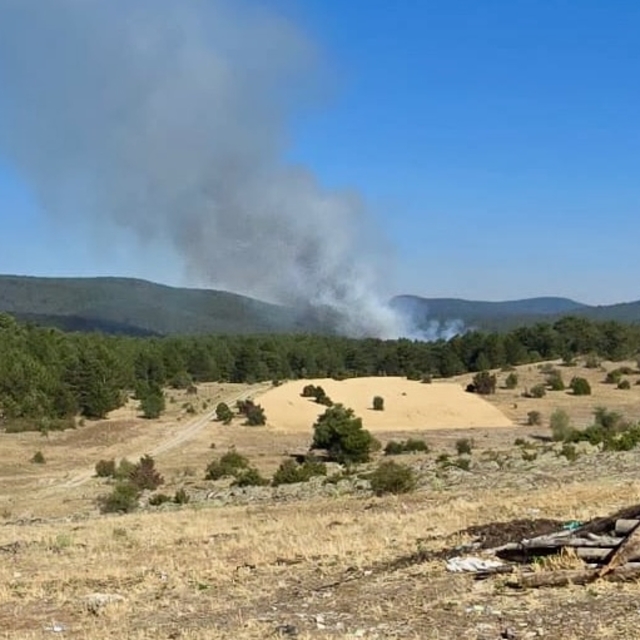 Eskişehir'de ormanlık alanda yangın çıktı
