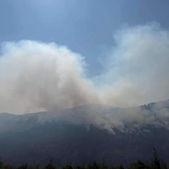 Sakarya'dan Bilecik tarafına sıçrayan orman yangınına müdahale sürüyor