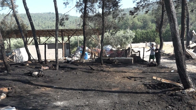 Çiftliğinde çıkan yangında 95 hayvanı öldü