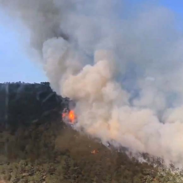 Eskişehir'de orman yangını