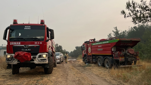 Sakarya'daki orman yangını 3'üncü gününde