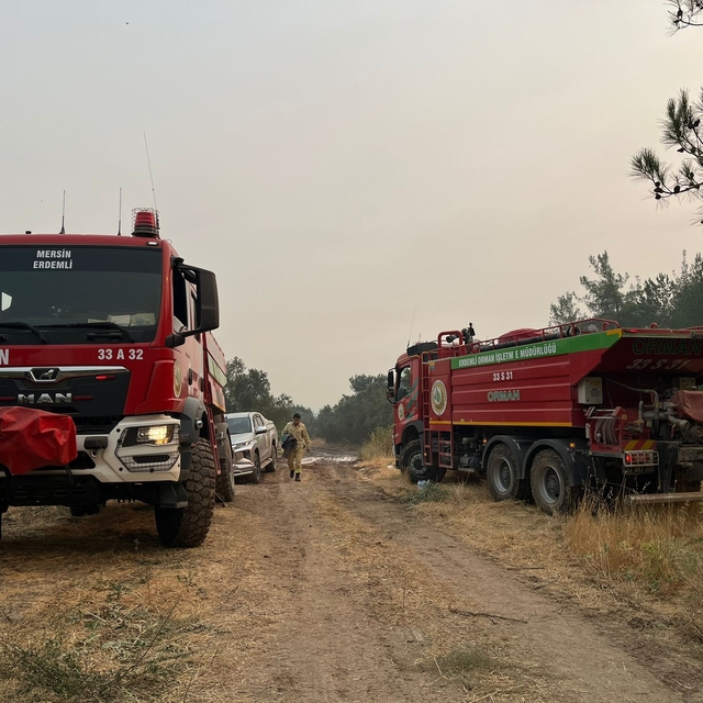 Sakarya'daki orman yangını 3'üncü gününde