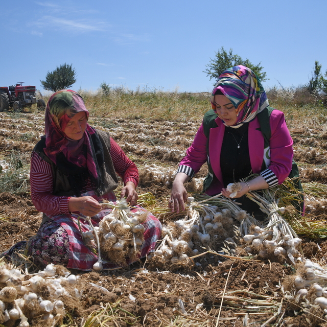 Yeşilaydan sarımsak tarlasında çalışan kadınlara ziyaret