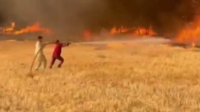 Sakarya'daki orman yangını 3'üncü gününde (2)