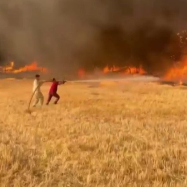 Sakarya'daki orman yangını 3'üncü gününde (2)