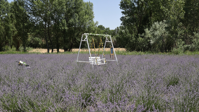 Astım hastası eşinin sağlığı için yerleştiği köyünde lavanta bahçesi kurdu